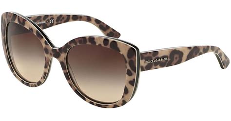 dolce and gabbana dupe for leopard sunglasses|authentic dolce gabbana.